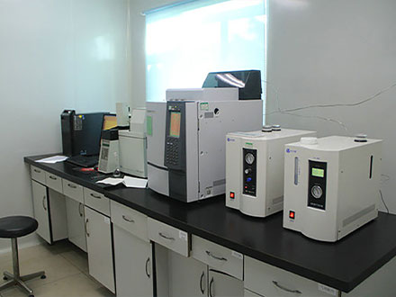 Gas chromatograph - 
